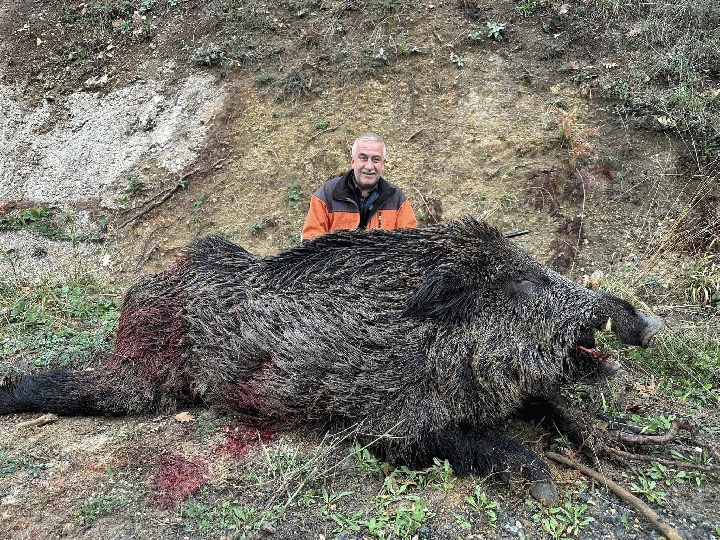 Looking for business partners for a hunting tourism project in Turkey